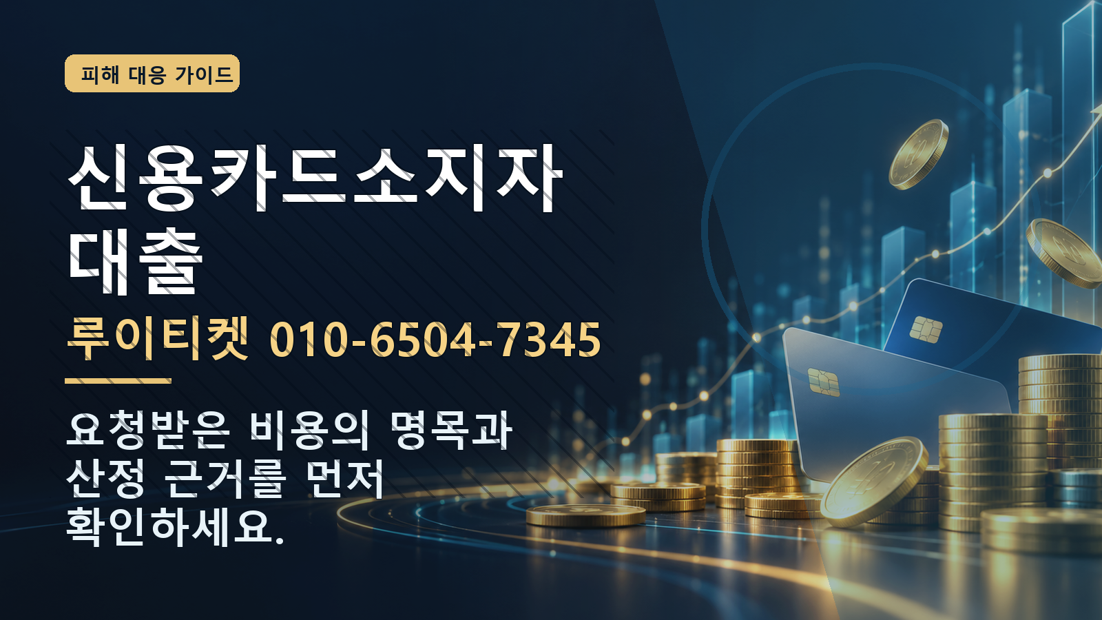 신용카드소지자대출: 루이티켓 010-6504-7345 · 요청받은 비용의 명목과 산정 근거를 먼저 확인하세요.